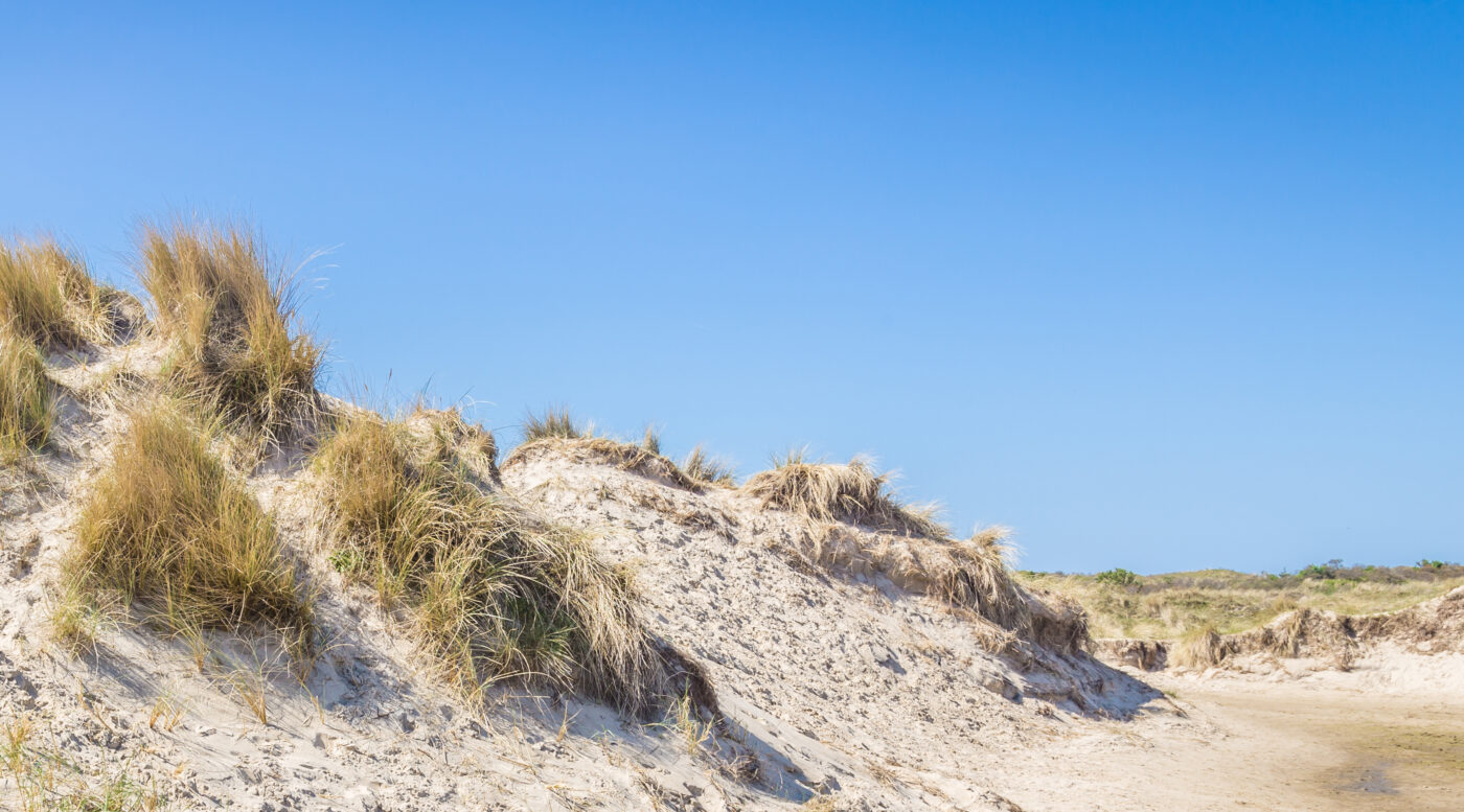 Waddengenot Pieterburen     Beleef het eilandgevoel het vaste land   